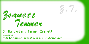 zsanett temmer business card